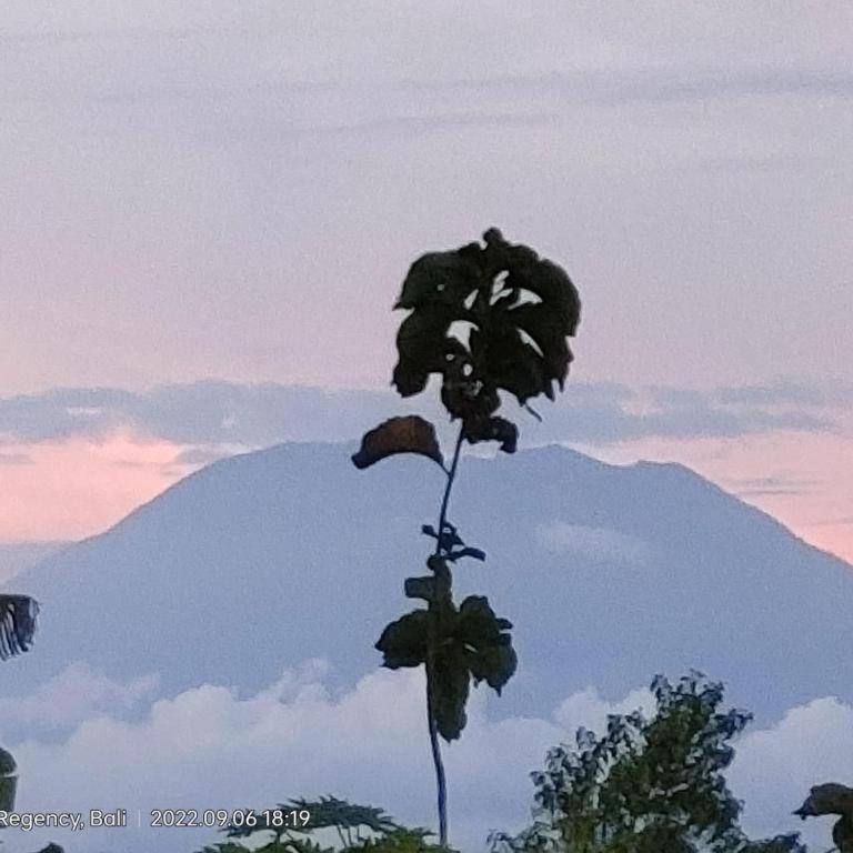 Villa Ume Tenang Nusa Penida Bagian luar foto